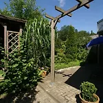 Haus Wexler 5 - OG