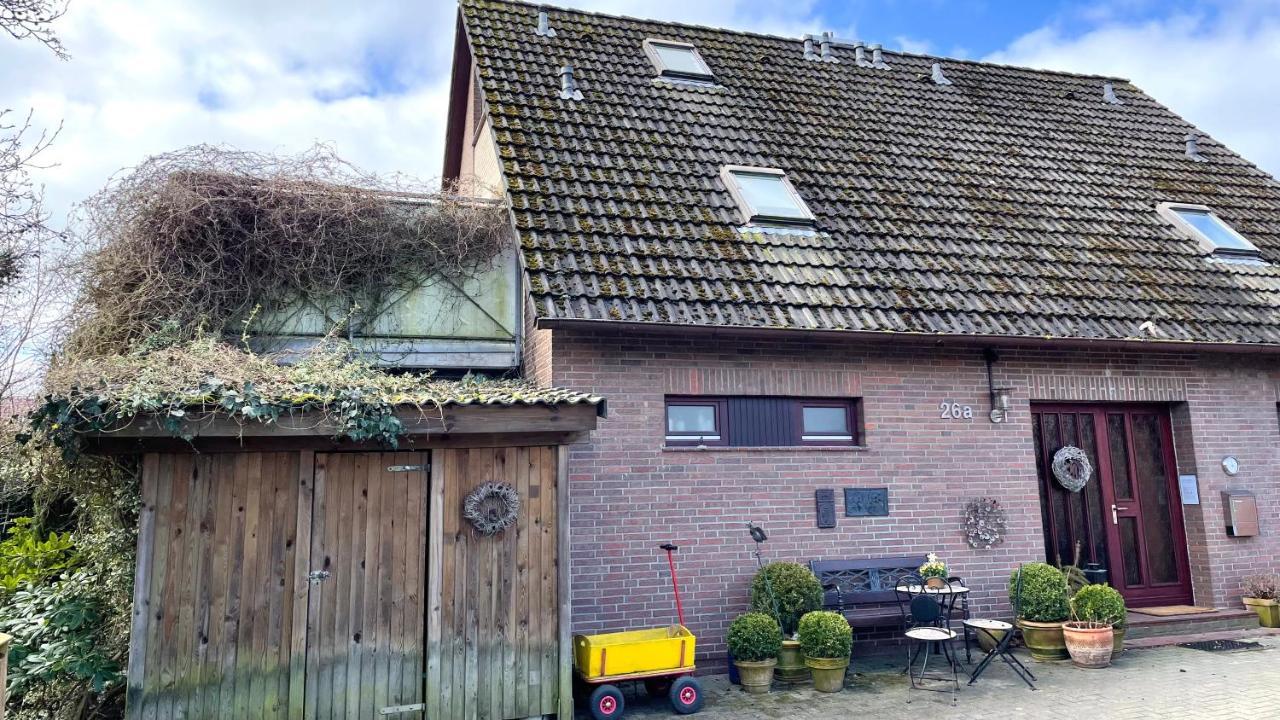 Haus Wexler 5 - Og
